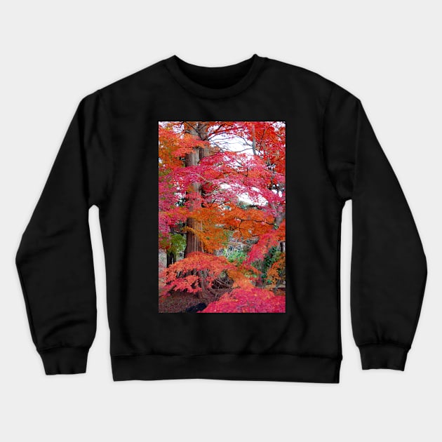 Autumn Colours 5 Crewneck Sweatshirt by WaterGardens